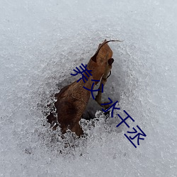养父(父) 水千(千)丞
