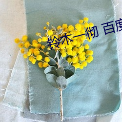 铃(líng)木一彻 百度网盘(pán)