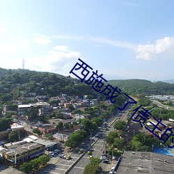 西施(施)成了债(債)主的公共精