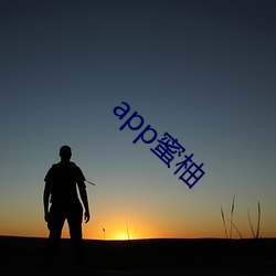 app蜜柚