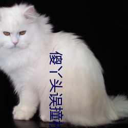 傻丫头误(wù)撞校草心