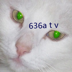 636a t v