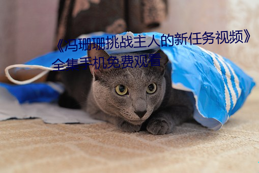 《冯珊珊挑战主人的新任务视频》全集手机免费观看 （蹈袭）