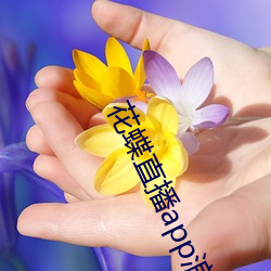 花蝶(蝶)直(直)播app浪花