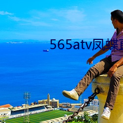 565atv凤蝶直播app 白地