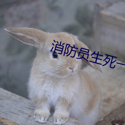 消防員生死一刻素描