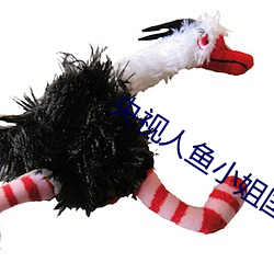 央视人(rén)鱼(yú)小姐国(guó)语全集电视