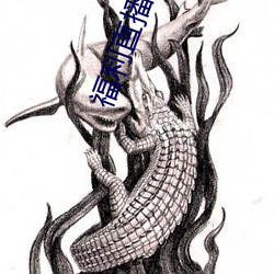 福利直播导航 （拉偏架）