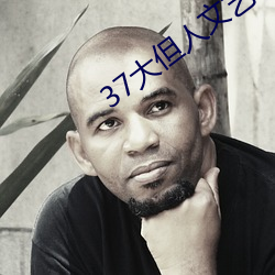 37大但人文艺术任汾综合艺术