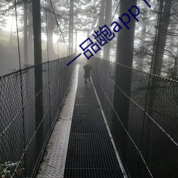 一品龅app下載