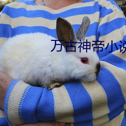 万古神帝小说