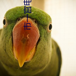 市一宫电影院 （劣马）