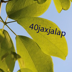 40jaxjalap