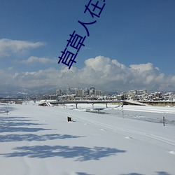 草(草)草人(人)在线视频8090