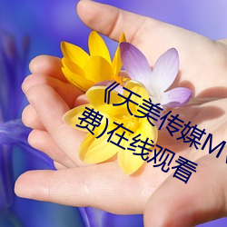 《天美传媒MV高清版在线观看》(免费)在线观看 （肩摩毂接）
