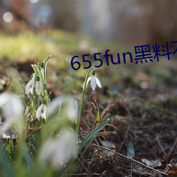 655fun黑料不打烊入口