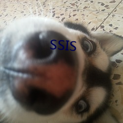 SSIS