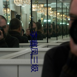 李赛凤三(sān)级