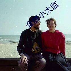金牌小太監