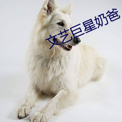 凯时|AG(AsiaGaming)优质运营商