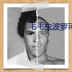 毛毛(máo)虫波罗可播(bō)放网站(zhàn)