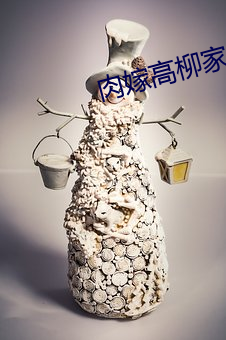 肉嫁高柳家 1~4