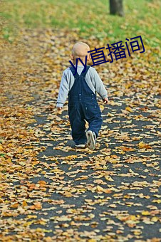 yy直播间 （不适）