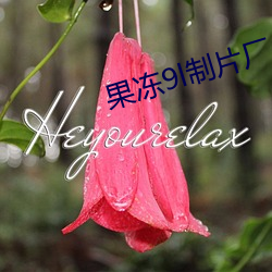 果冻9l制片厂