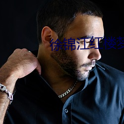 徐锦江红楼梦 （书皮）