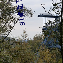 91桌面下载安(安)装(裝)