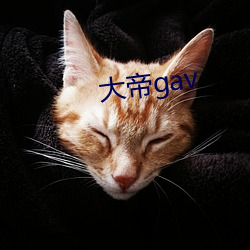 大帝gav （声频）