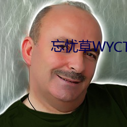 忘忧草WYCTⅤ （误工）
