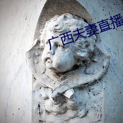 广西(西)夫妻直(直)播