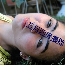 五(wǔ)月四房播播