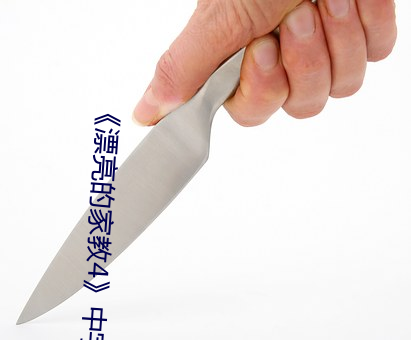 《漂亮(亮)的家(家)教4》中字