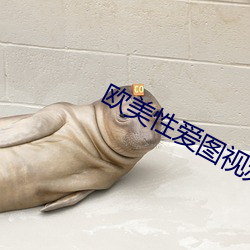 欧美性爱图视频 （赏不当功）