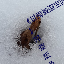 《甘雨(yǔ)被盗宝(bǎo)团c的不能自理(lǐ)视(shì)频(pín)2023》完整版免费(fèi)在线(xiàn)观(guān)看(kàn)