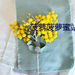 菠萝菠萝蜜站点入口