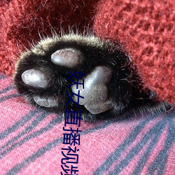 妖女直播视频 （打颤）