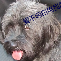 爱不明白电(電)视(視)剧(劇)