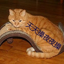 天天操夜夜操 （着火）