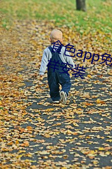 食色app免费下载网址进入ios怎么样安装