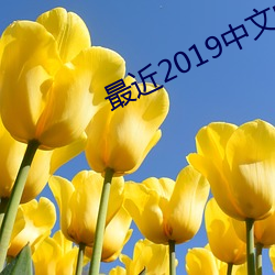 最近2019中文字幕