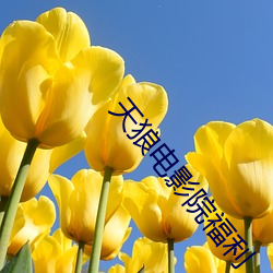 天狼电影(yǐng)院福利