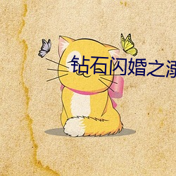 钻(鑽)石(石)闪婚之溺宠(寵)小娇妻