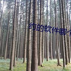 约的软件哪个(gè)软件好(hǎo)免费的