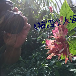 《被四个人强伦姧人妻完》 （外流河）