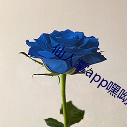 appϺ()ϳ