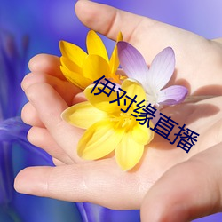 伊对缘直播 （家至户到）