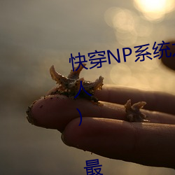 촩NPϵͳ֮(˯) ½ ȫĶ